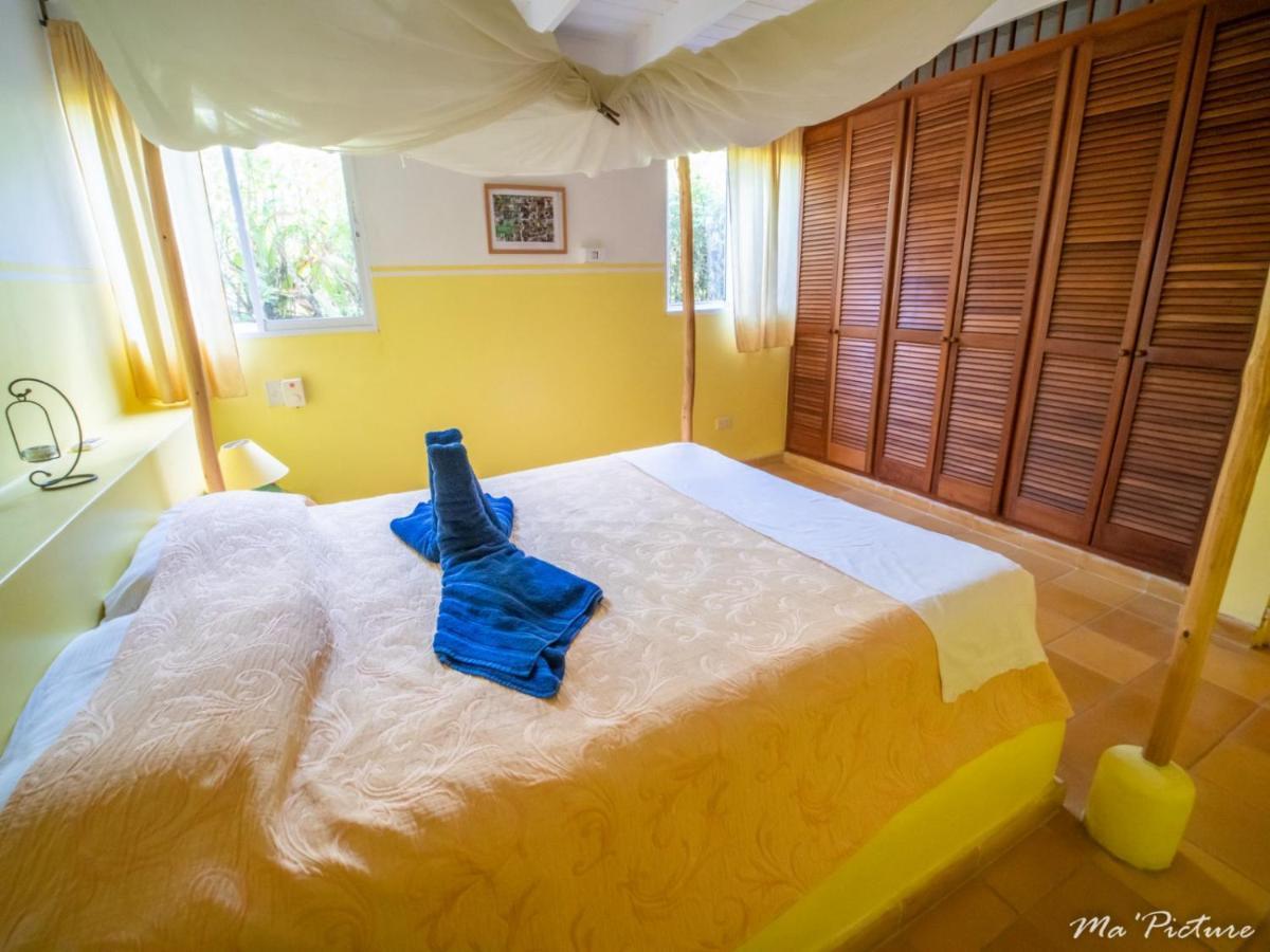 Residence Villas Les Hibiscus Las Terrenas Kültér fotó