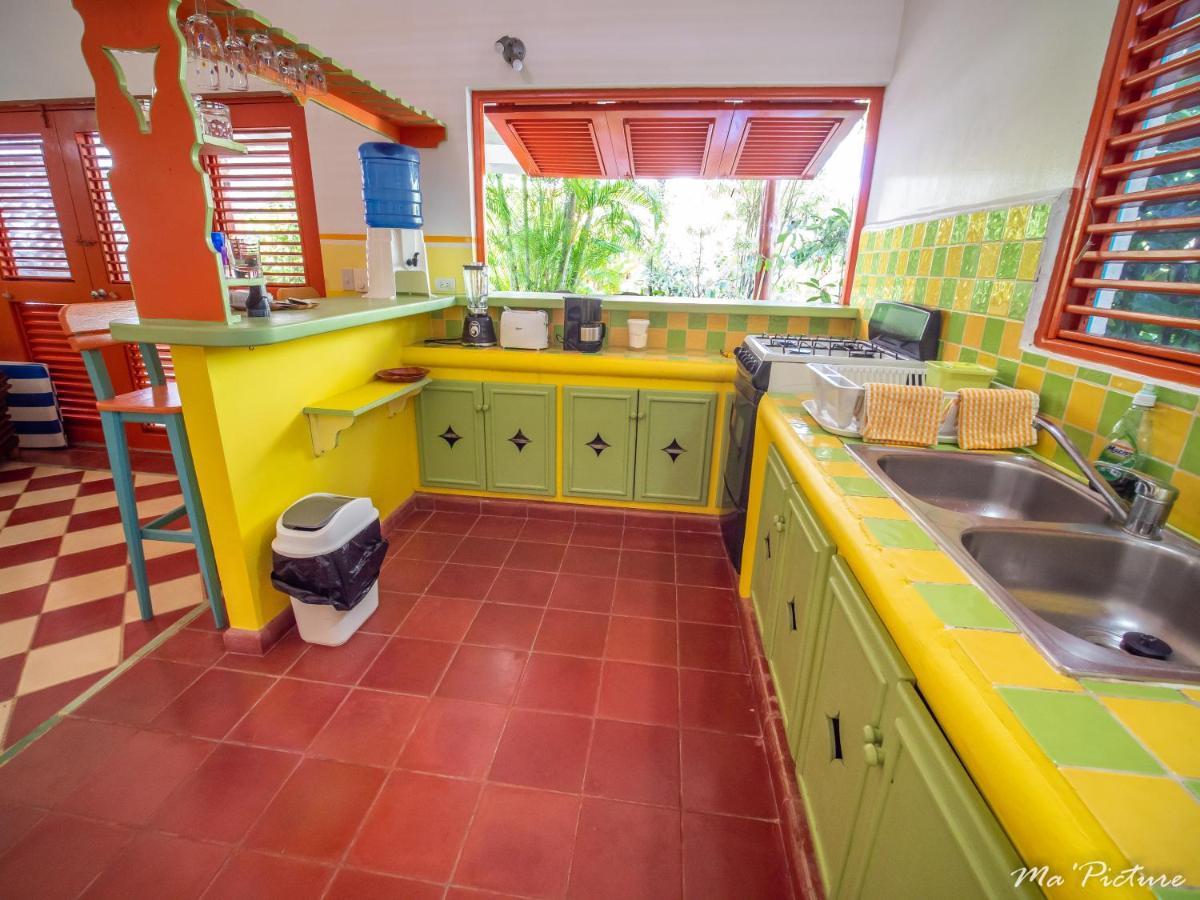 Residence Villas Les Hibiscus Las Terrenas Kültér fotó